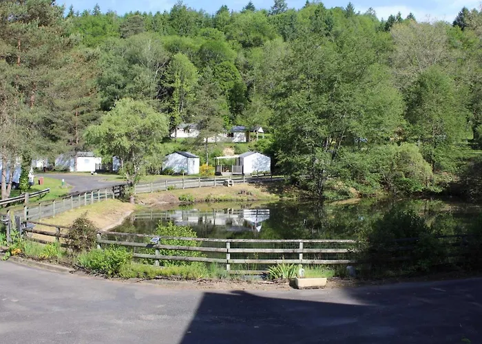 ZEcamping 3 étoiles animaux acceptés piscine chauffée et épicerie