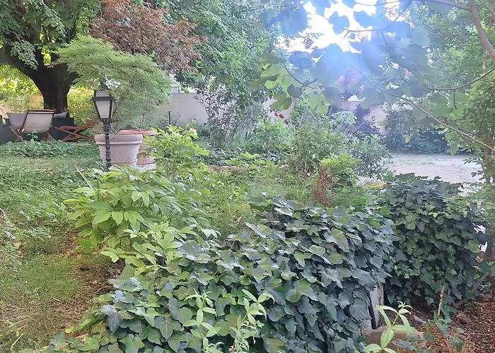 La Cartagène - charmant appartement entouré de nature