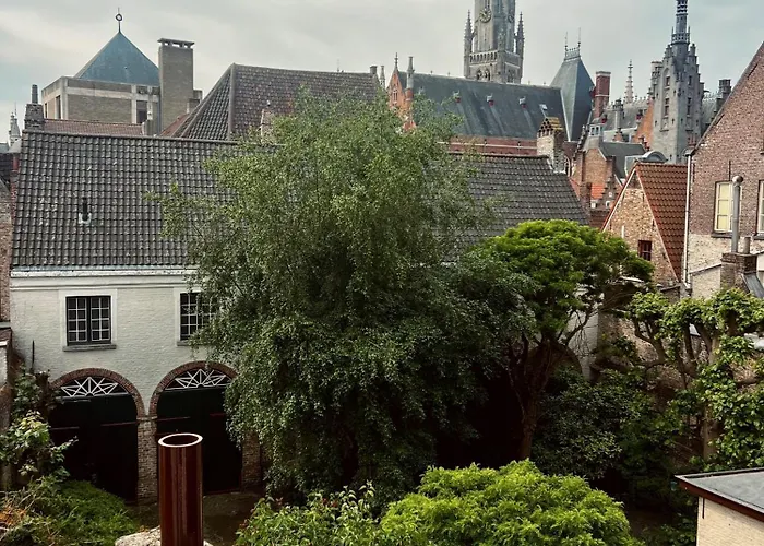 Central hotel: Hotel Rose Red