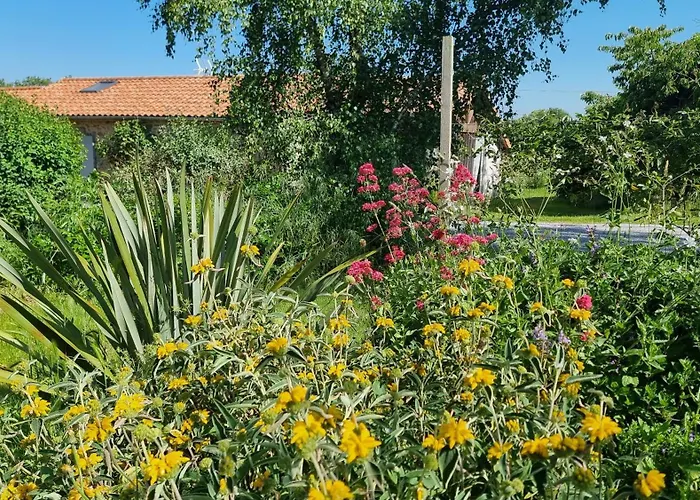 Chambres et gîte dans un lieu calme et champêtre Gourgé Les Grippeaux proche Parthenay