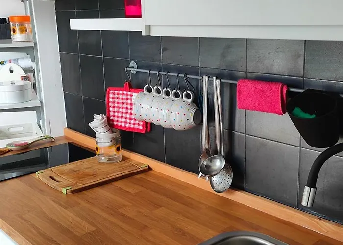 Hotel adatto agli animali: ottima location lido tabù