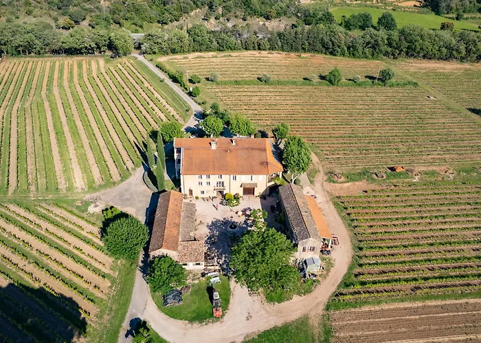 Gîte Lavande au milieu des vignes - Chateau les Apiès