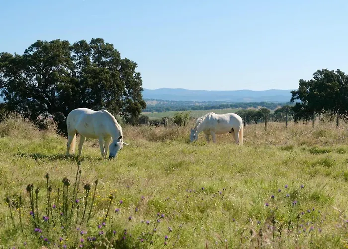 Herdade Da Carapuca- Casa De Campo