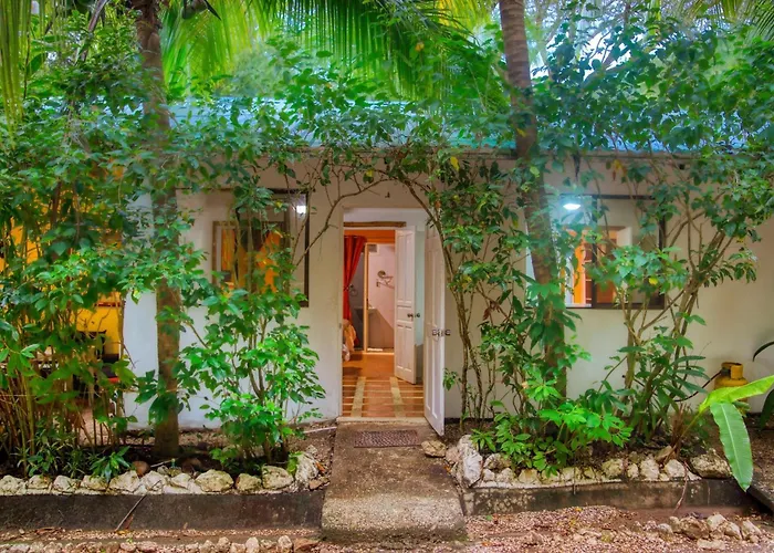 Jungles Edge , Jiu Jitsu, Muay Thai Retreat Center