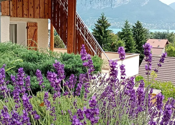 Vue Lac Lodges
