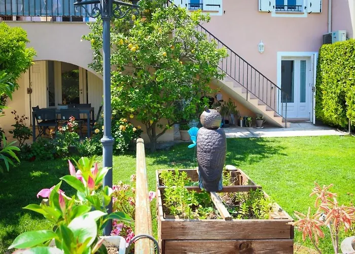 Provençale de Biot
