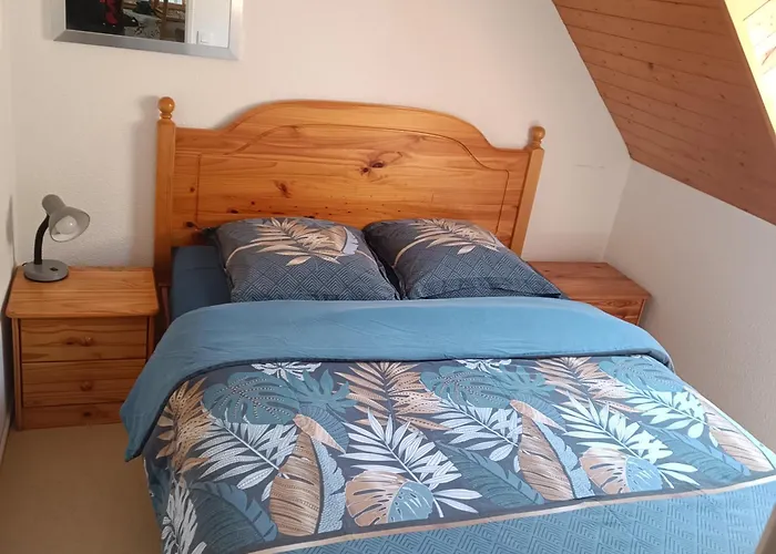 Joli T2 avec alcôve Wifi 4 pers linge de maison inclus