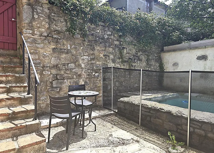 Magnifique villa en pierres au cœur de Saint Antonin Noble Val - Piscine et jardin privés -10 personnes