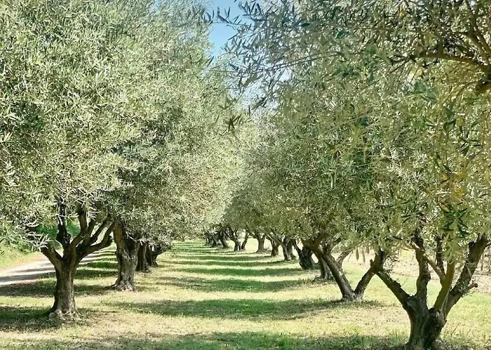 L' Escale
