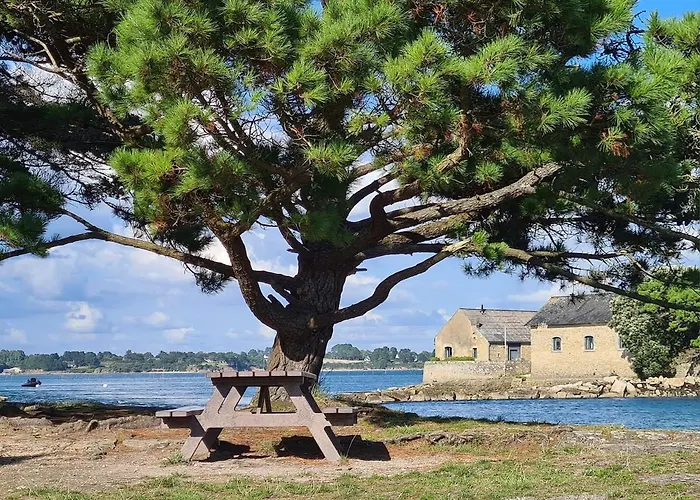 Une parenthèse enchantée à Larmor-Baden