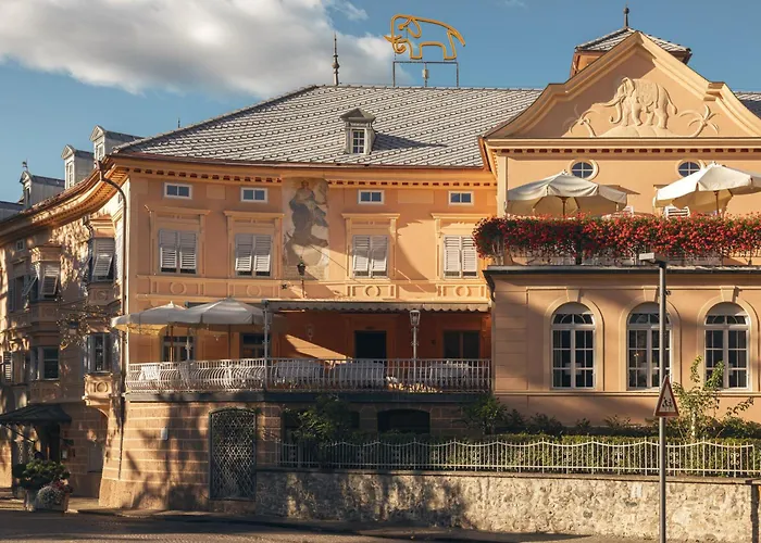 Hotel adatto agli animali: Hotel Elephant