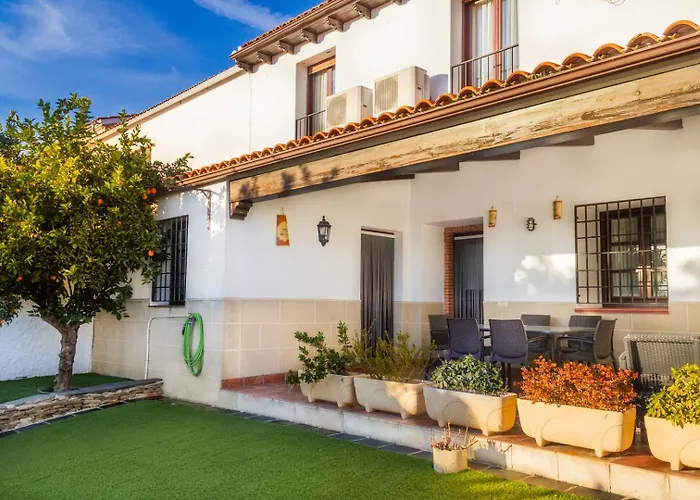 Perros hoteles Tia Tomasa