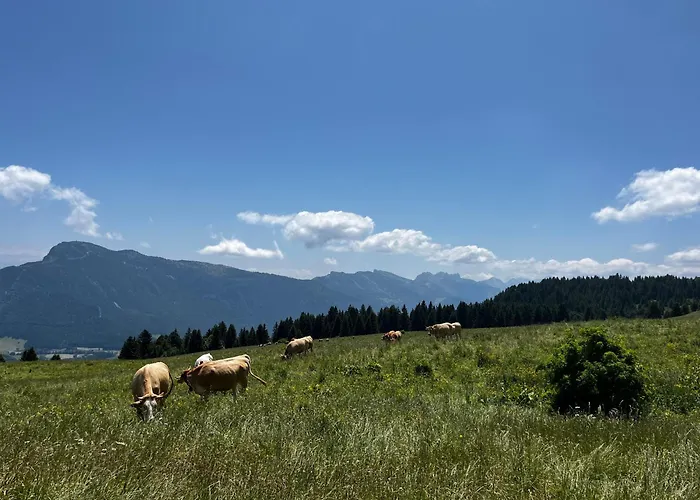Hôtel Au Feu De Bois