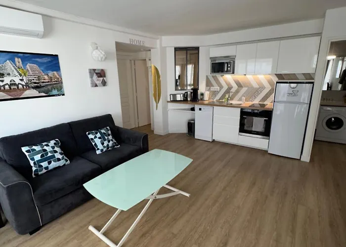 Appartement 40 M2 Climatise Au Centre Ville De Lgm