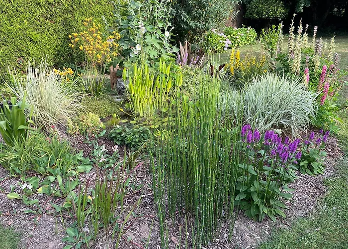 Studio GîTE COSY sur Jardin