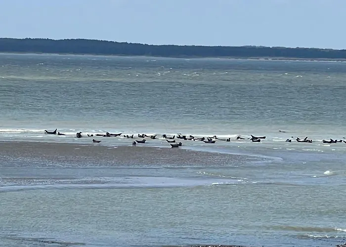 Gite de la Baigneuse avec jacuzzi 6 pers