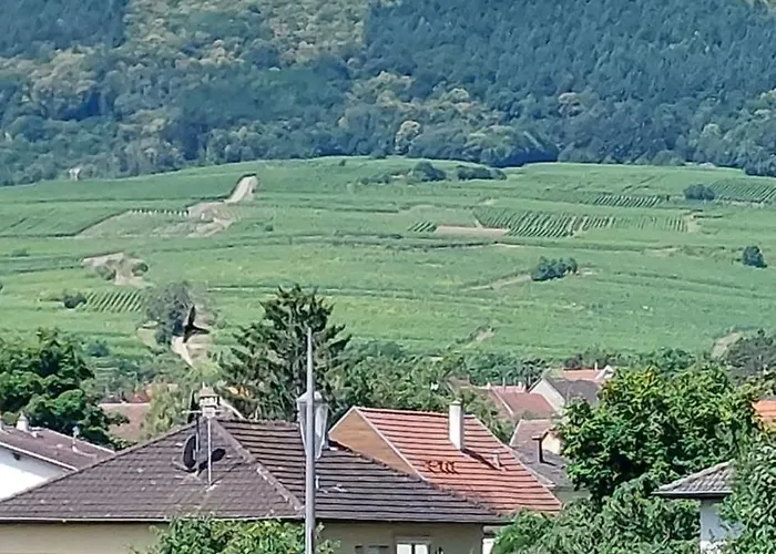 La petite tuilerie d Eguisheim