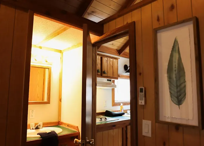 Lakeview Cedar Cabin - The Birds Nest - 1