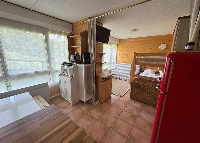 Studio Station Puy-Saint-Vincent