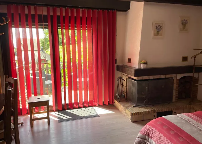 Hôtel accueillant les animaux: Auberge des Skieurs