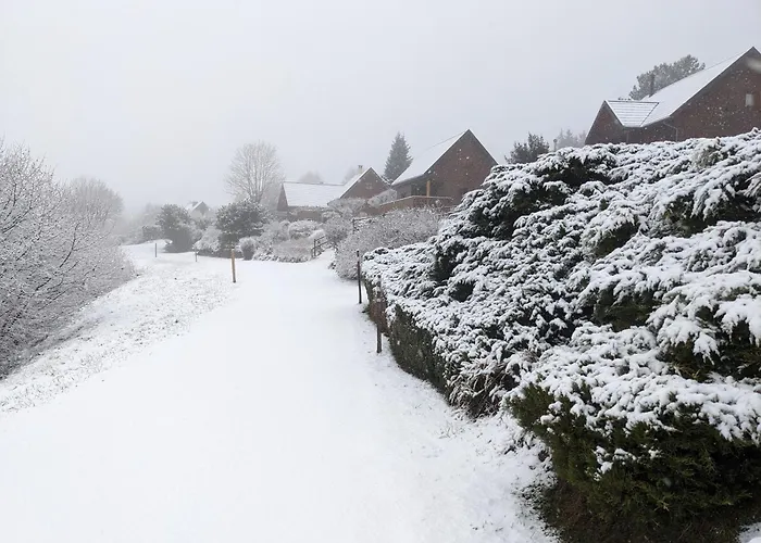 Perce-neige