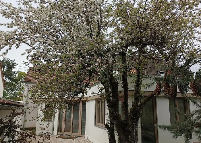 L'Arboré, maison d'architecte avec hammam