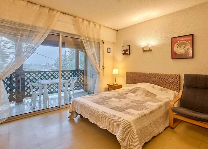 Appartement T1 lumineux avec balcon, animaux autorisés - FR-1-841-19