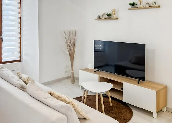 Appartement rénové, lumineux au centre de Vic