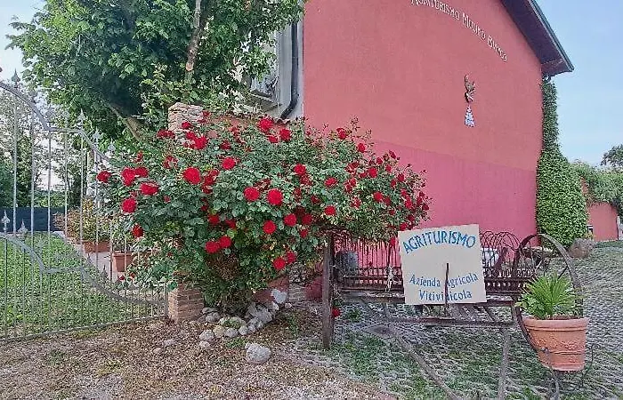 Mulino Bianco