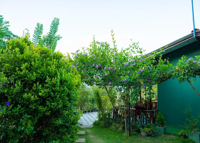 Astral Zone Cottage Scenic Mountain View Stay Ella
