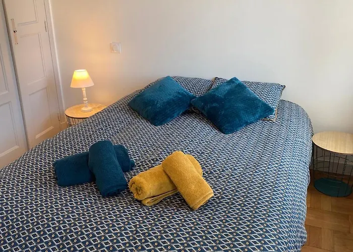 Superbe appartement F2 refait à neuf plein centre