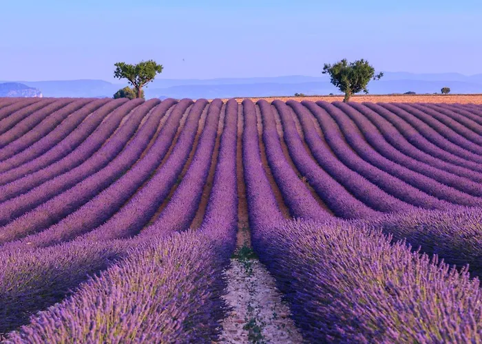 Cocon Authentique de Roussillon