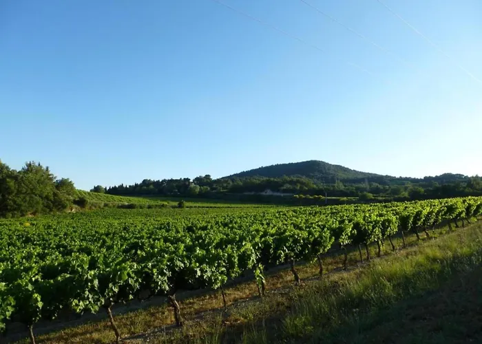 Mansion In Provence With Pool & Near Town