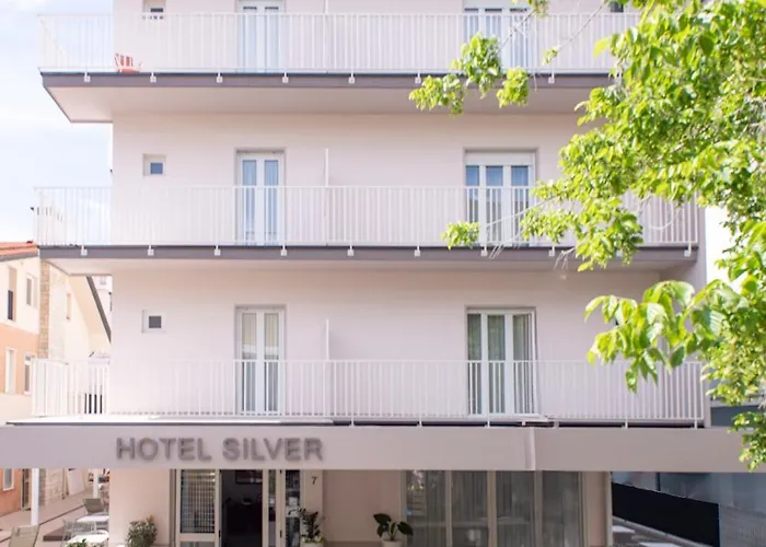 Hotel familiare: Hotel Silver