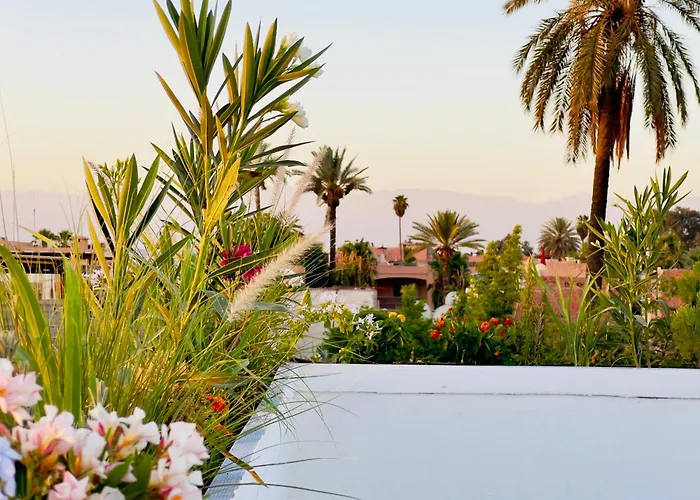 Riad Kaya