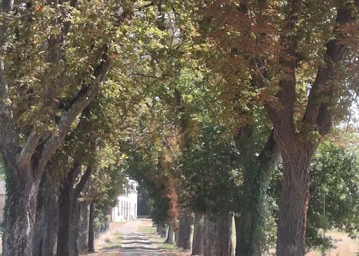 Domaine De Mathabiau