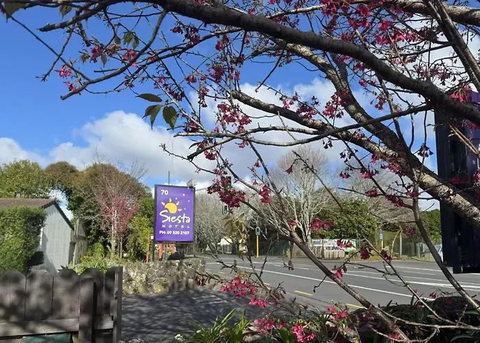 Siesta Motel