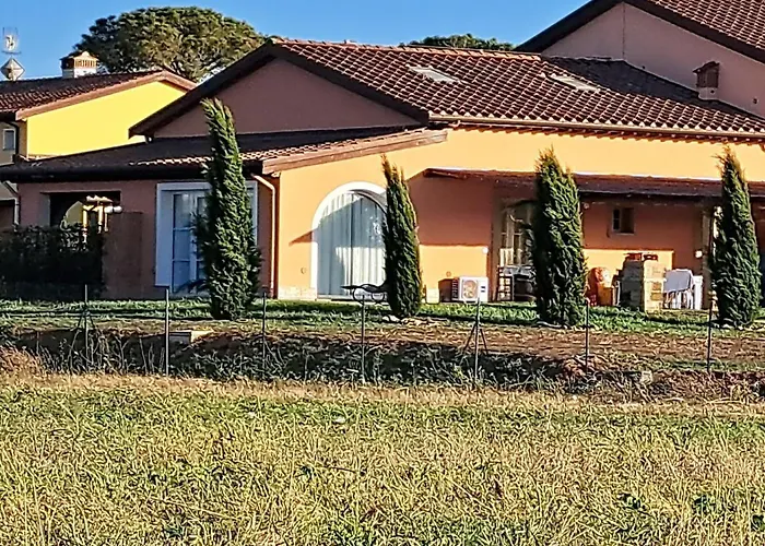 Fattoria Palazzeta
