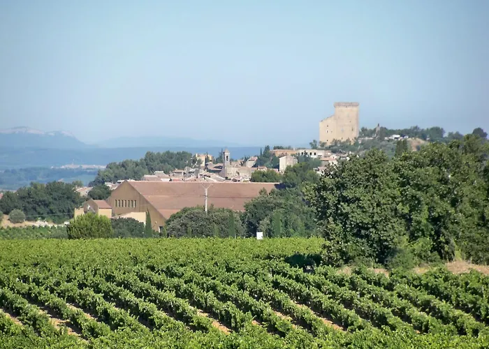 Mansion In Provence With Pool & Near Town