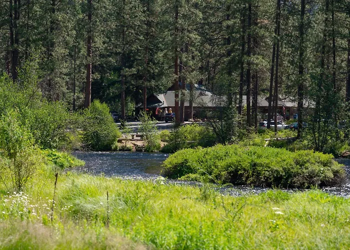 Metolius Cabin 5