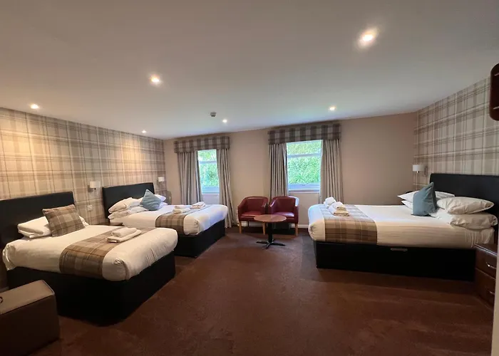 Pet Friendly hotel: King Robert Hotel