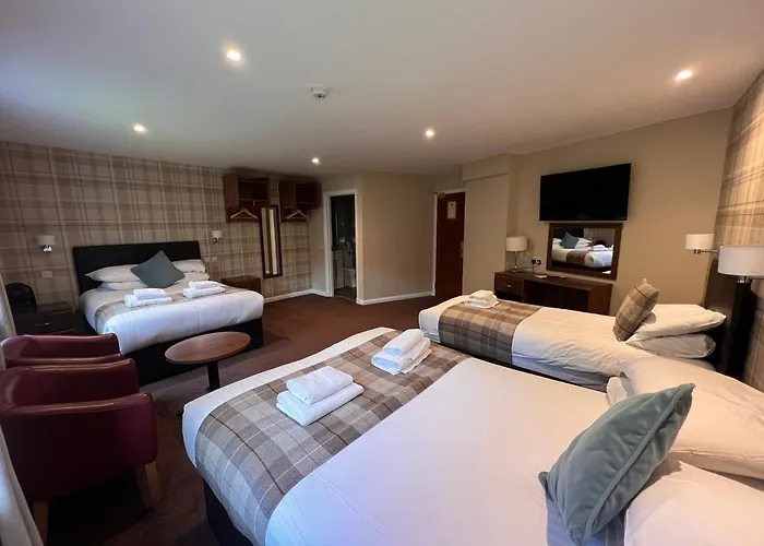 Pet Friendly hotel: King Robert Hotel