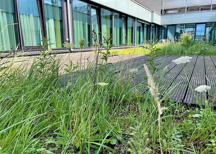 Luxushotel: Aspire Acara Oldenburg, Trademark Collection By Wyndham