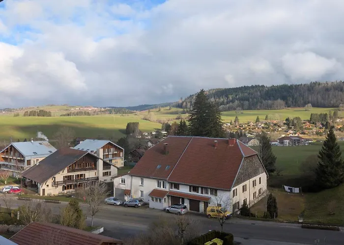 Les Fougères