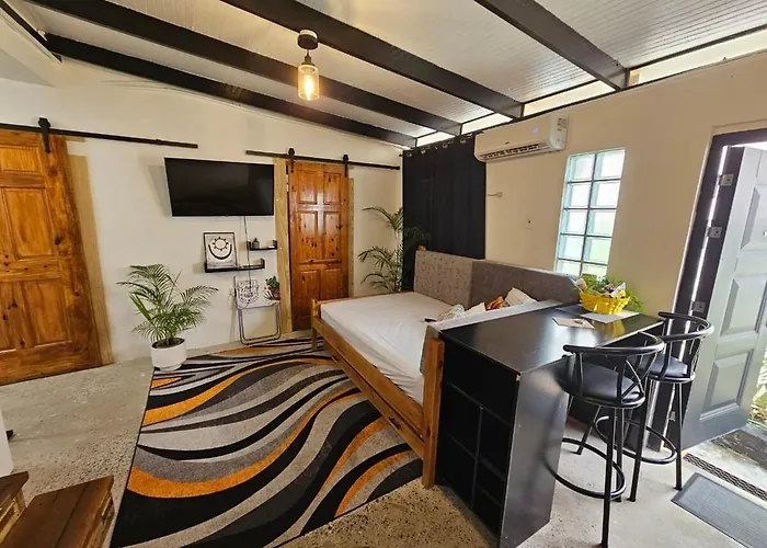 Comfy Carnival Rental