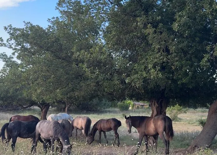 La Bastide des Launes près du Festival de Piano
