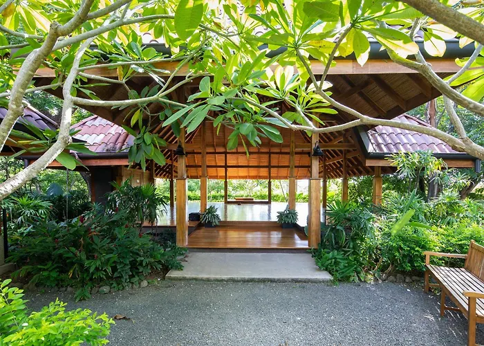 Bodhi Tree Yoga