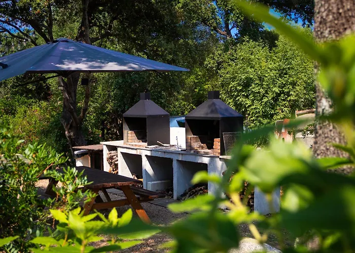 Domaine De La Testa