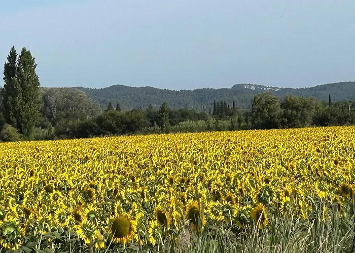 Mas en Provence chez Coba