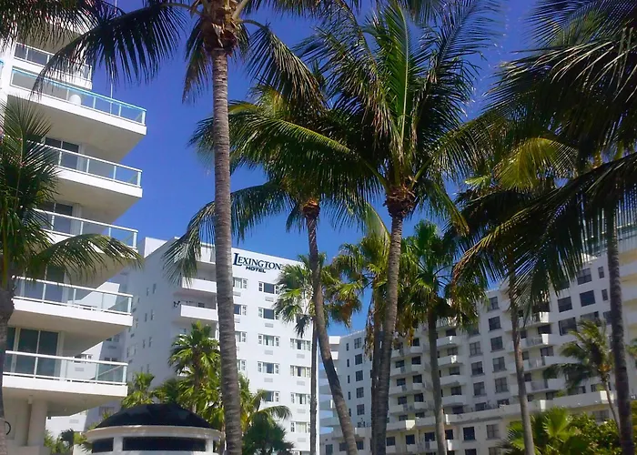 Familienhotel: Lexington By Hotel Rl Miami Beach